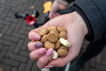 Sinterklaas naar de Markt in Emmen 